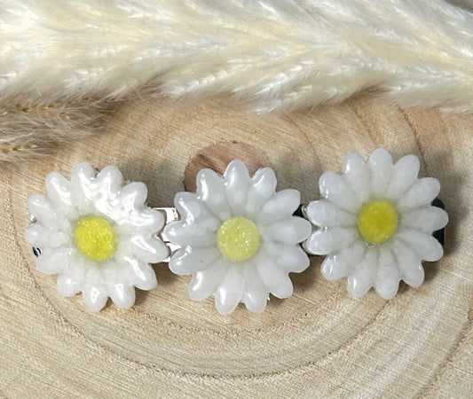 Grandes Barrettes Fleurs